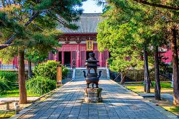 奉国寺第 4 张图片