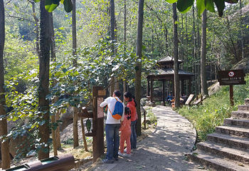 大龙山乌龙溪景区第 9 张图片