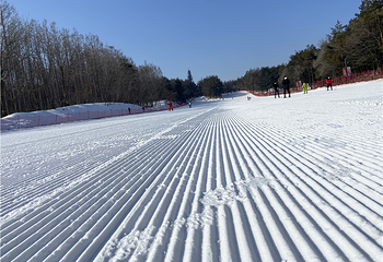 净月潭滑雪场第 51 张图片