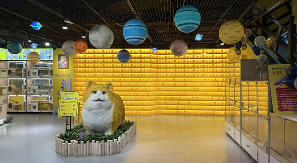 猫咪博物馆(万达广场青岛李沧店)