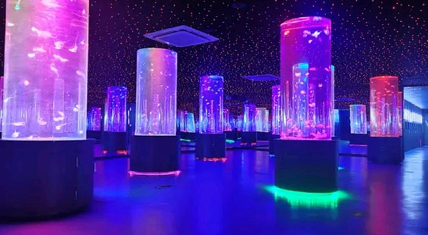 柳州动物园珊瑚科普馆