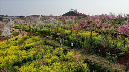 岳阳樱花园第 46 张图片