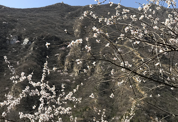 北京药王谷风景区第 56 张图片