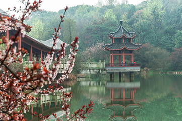 岳麓山第 5 张图片