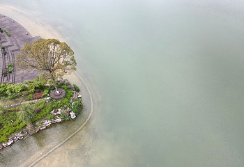 新蒲湿地公园第 54 张图片