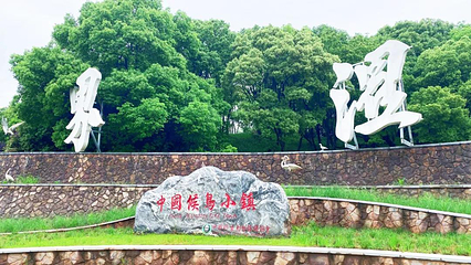 鄱阳湖吴城候鸟小镇第 20 张图片