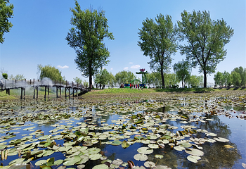 太阳岛(鸭绿江国家级风景名胜区店)第 12 张图片