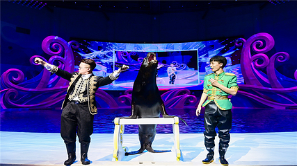 桂林融创海世界第 20 张图片
