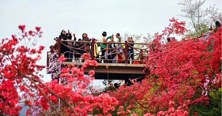 杜鹃山国际旅游度假区第 1 张图片