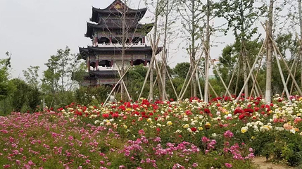 萌山公园第 1 张图片
