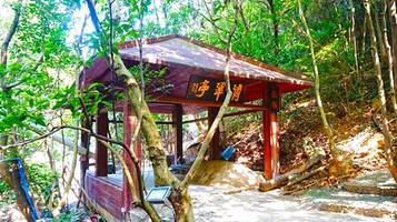 广州外婆家森林生态度假区