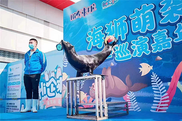 振兴小镇第 58 张图片