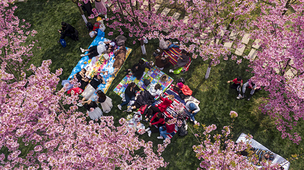 问花村第 50 张图片