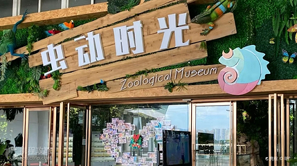 虫动时光博物馆第 5 张图片