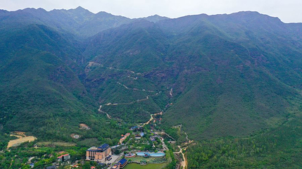 莲花山森林公园第 1 张图片