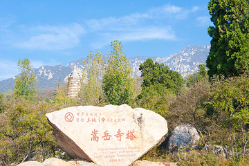嵩阳景区第 22 张图片