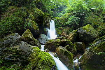 青城后山第 2 张图片
