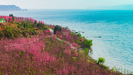 抚仙湖国际旅游度假区第 10 张图片