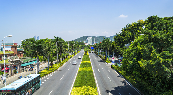 鹭岛观光旅游巴士