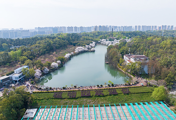 湖南省植物园第 9 张图片