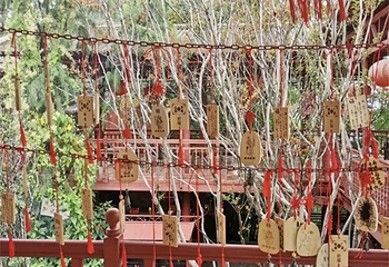 伽峰山风景区第 65 张图片