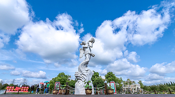 崇明荷花博览园