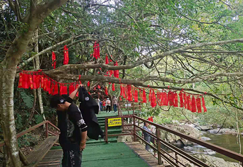 海南热带雨林国家公园五指山景区第 11 张图片