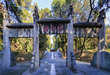 曲阜三孔景区第 80 张图片