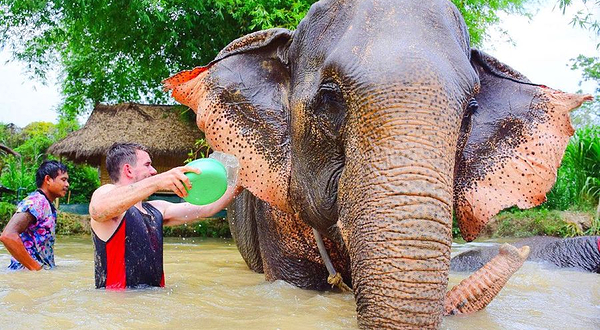 绿洲大象保护营