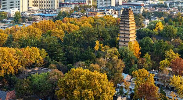 小雁塔遗址公园