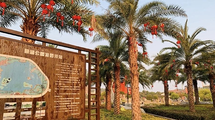 顺湖公园第 1 张图片