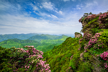 光雾山旅游景区第 1 张图片