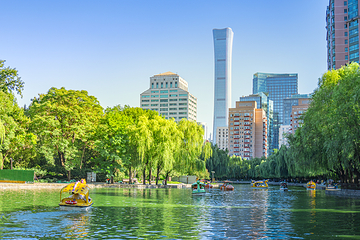 团结湖公园第 4 张图片
