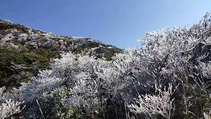 石牛山景区第 133 张图片
