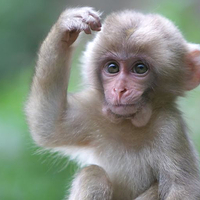 羊山野生动物园