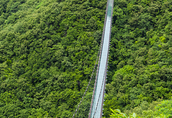 凤泉湖景区第 3 张图片