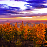 好森沟国家森林公园