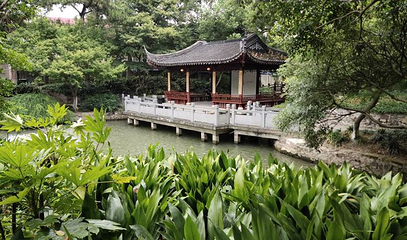 红园第 1 张图片
