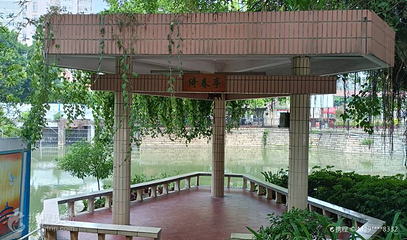 九龙公园第 4 张图片