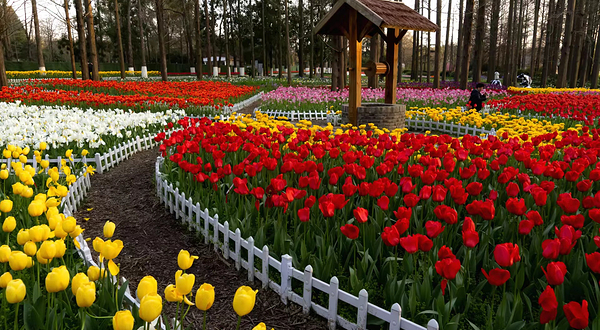 南京中山植物园