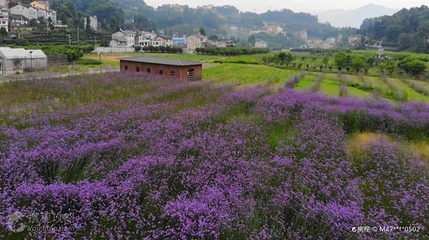 月亮谷景区第 2 张图片