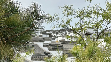 含碧园第 1 张图片