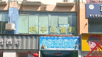 北极冰熊雪世界