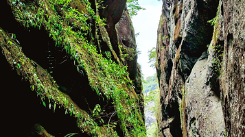 福建大金湖丹霞地貌国家地质公园-水上一线天