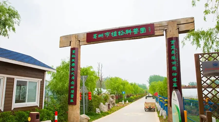亳州市植物科普园第 1 张图片
