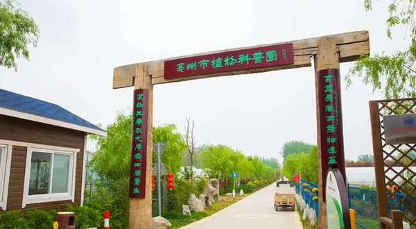 亳州市植物科普园