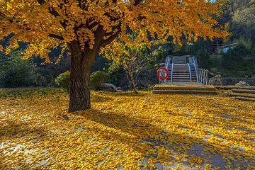 沂蒙山旅游区沂山景区第 13 张图片