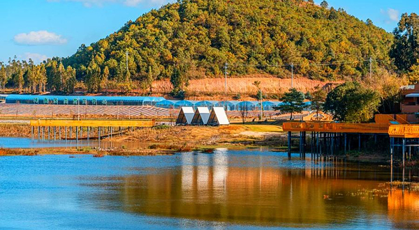 花漫光山-花语山