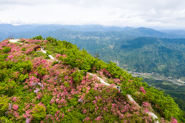 大别山主峰景区第 3 张图片