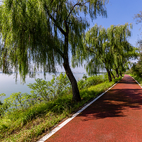 柳叶湖旅游度假区